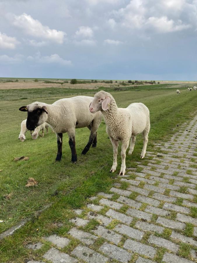 Ferienhaus Heimathafen Neßmersiel Bagian luar foto